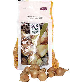 Nelson Garden Sättlök Schalotten 250g