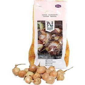 Nelson Garden Sättlök Gul 250g