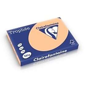 Clairefontaine 120g A3 papper aprikos 250 ark 120G