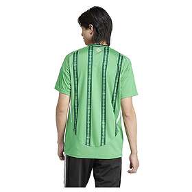 Adidas Northern Ireland 23/24 Short Sleeve T-shirt Home Grönt L