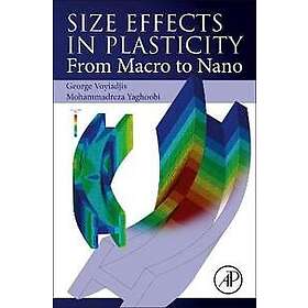 Size Effects in Plasticity