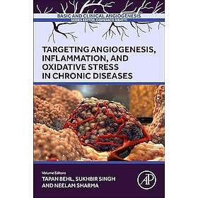 Targeting Angiogenesis, Inflammation and Oxidative Stress in Chronic Diseases
