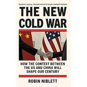 Robin Niblett: The New Cold War