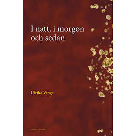 Ulrika Vinge: I natt, i morgon och sedan
