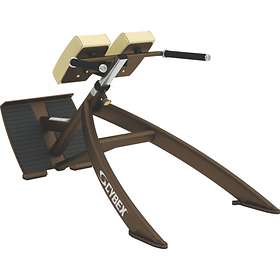 Cybex International 45 Degree Back Extension