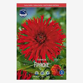 JWA Lefeber Dahlia, Apache