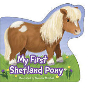 My First Shetland Pony