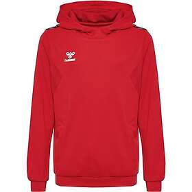 Hummel Authentic Pl Hoodie Röd 12 Years Pojke