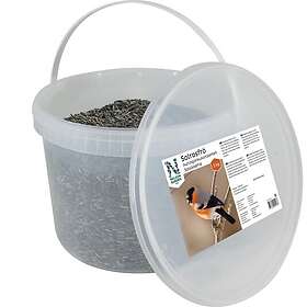 Nelson Garden Solsikkefrø Stripete 5,5kg 