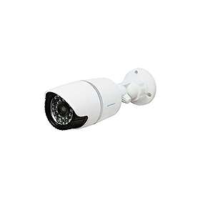 Avidsen 123043 de Caméra surveillance factice -