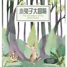 The Adventure of the Little Bunny