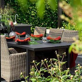 Brafab Ninja/Vevi matgrupp