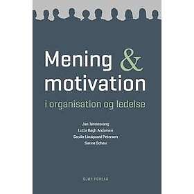 Mening og motivation