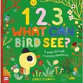 1, 2, 3, What Can Bird See?