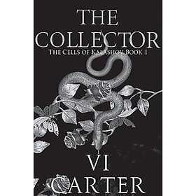 The Collector: Dark Bratva Romance