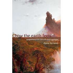 How the Earth Feels