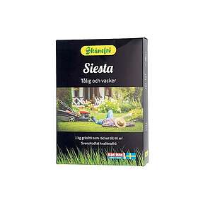 Skånefrö Gräsfrö Siesta