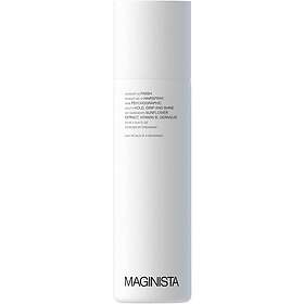 MAGINISTA Hairspray 250ml
