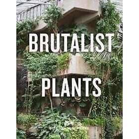 Olivia Broome: Brutalist Plants