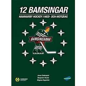 Magnus Hagström, Benjamin Thorén, Jonas Cederquist: 12 Bamsingar Hammarby Hockey i med- och motgångar