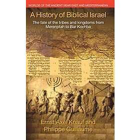 A History of Biblical Israel