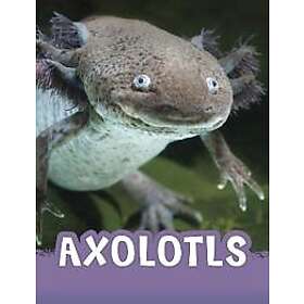 Axolotls