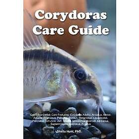 Corydoras Care Guide. Corydoras Catfish Care Featuring