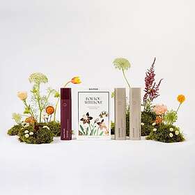 Davroe Moisture Senses Trio Pack