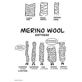 Lasting Swb Long Socks (Herr)