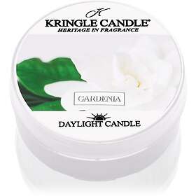 Kringle Candle Gardenia Värmeljus 42g
