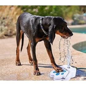 24.se Vattenfontän för hund
