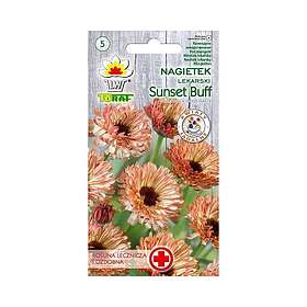 24.se Ringblomma Sunset Buff