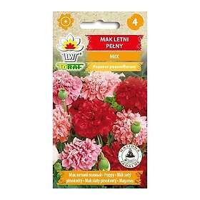 24.se Vallmo Papaver Somniferum Mix