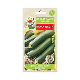 24.se Zucchini Black Beauty