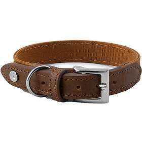 Denjo Dogs Signature Hundhalsband