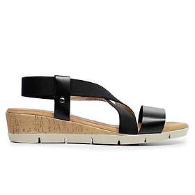 Rosa Negra Ava (Dam)