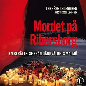 Mordet på Ribersborg : en berättelse från gängvåldets Malmö