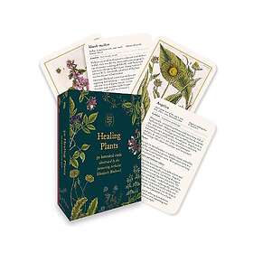 Healing Plants A Botanical Card Deck