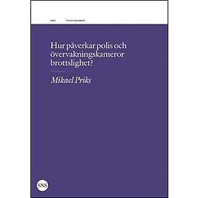 Hur påverkar polis och övervakningskameror brottslighet?