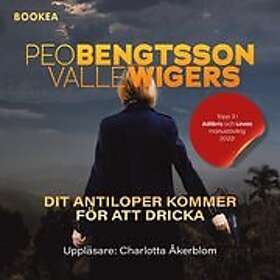 Dit antiloper kommer för att dricka