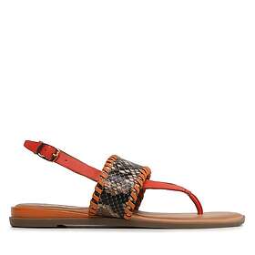 Gioseppo Mergey (Dam)