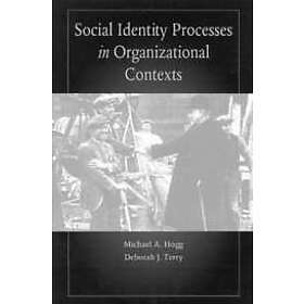 Identity Social Processes in Organizational Contexts