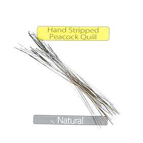 Veniard Stripped Peacock Quills Natural
