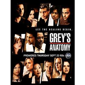 Grey's Anatomy - Säsong 8 (DVD)