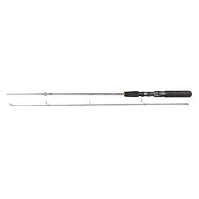 Daiwa Silvercast 5' 5-20g