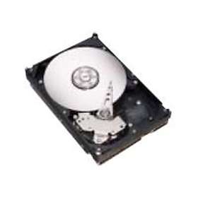 Seagate DB35 ST3300831ACE 8Mo 300Go