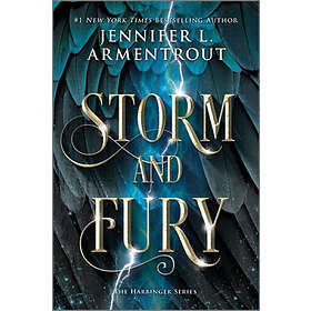 Storm and Fury