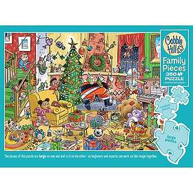 Cobble Hill : Family Pieces Catching Santa (350)