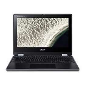 Acer