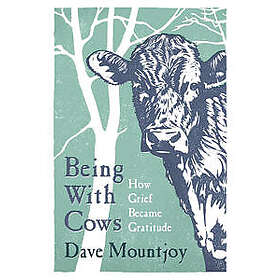 Being With Cows